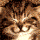 userIcon