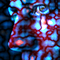 userIcon