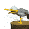 userIcon