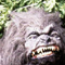 userIcon