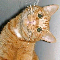 userIcon
