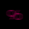 userIcon