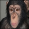 userIcon