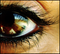 userIcon