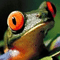 userIcon