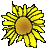 userIcon