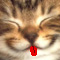 userIcon
