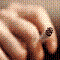 userIcon