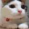 userIcon