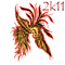 userIcon