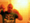 userIcon