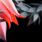 userIcon
