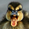 userIcon