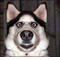 userIcon