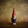 Fok_-_gnome.jpg
