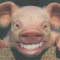 userIcon
