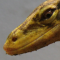userIcon