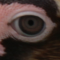 userIcon