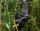 userIcon