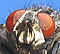 userIcon