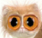 userIcon