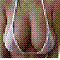 userIcon