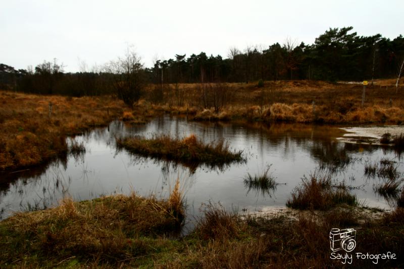 Somber landschap in de buurt van Heerlen (Foto: Luuntje)