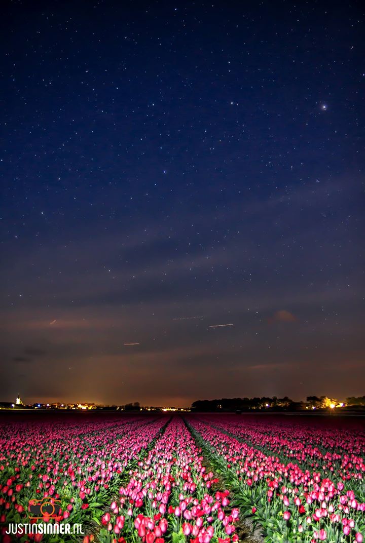 Heldere sterrenlucht boven Texel (Foto: Justin Sinner)