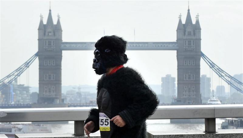 Brit kruipt in gorillapak marathon van Londen