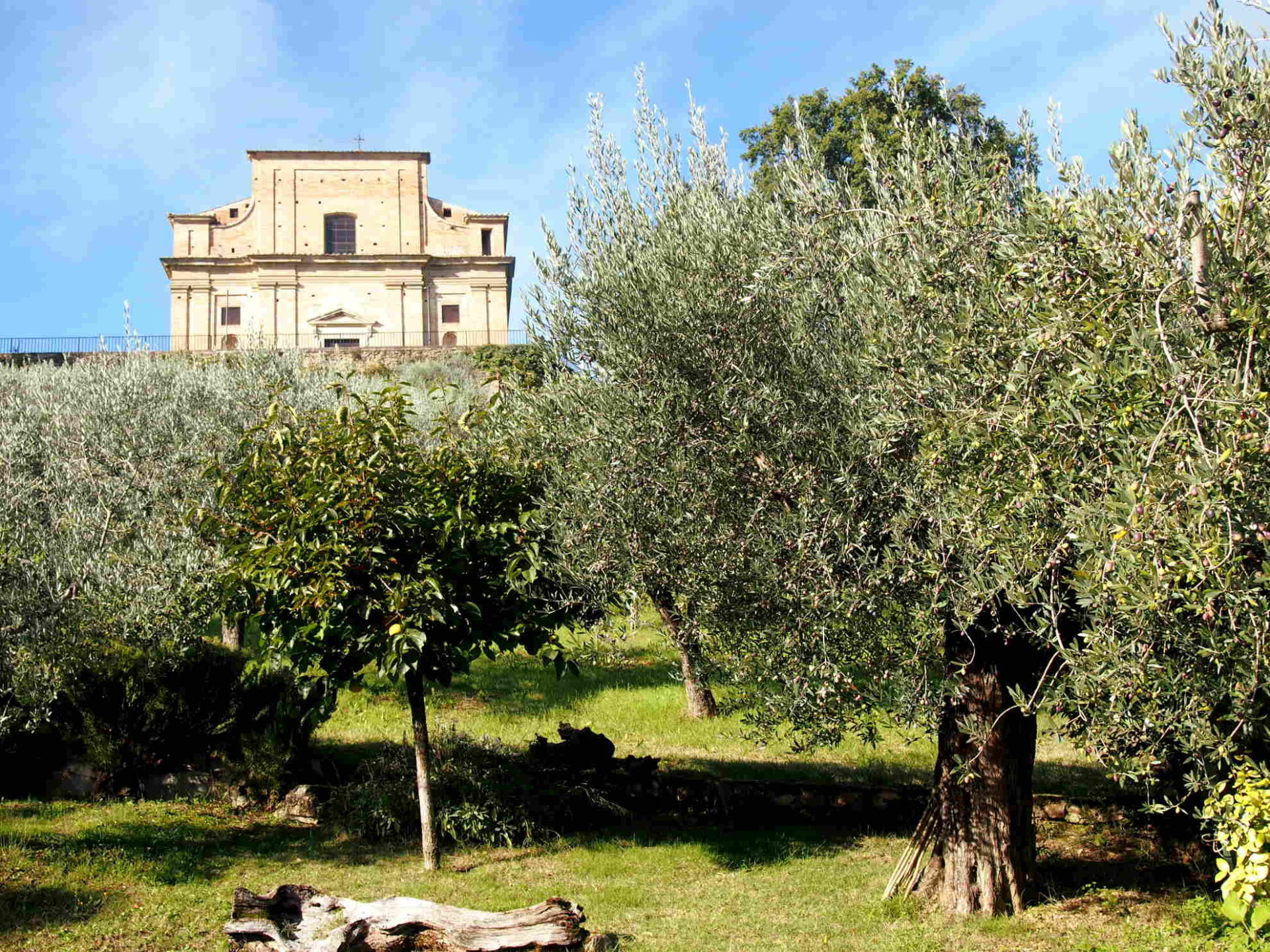 Het heiligdom van Madonna delle Grazie (Foto: WikiCommons)