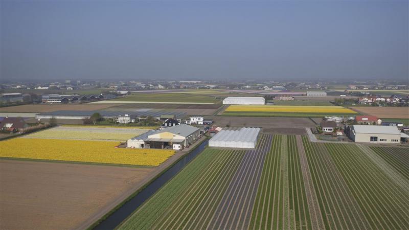 Limburgse boeren: drones tegen wietteelt