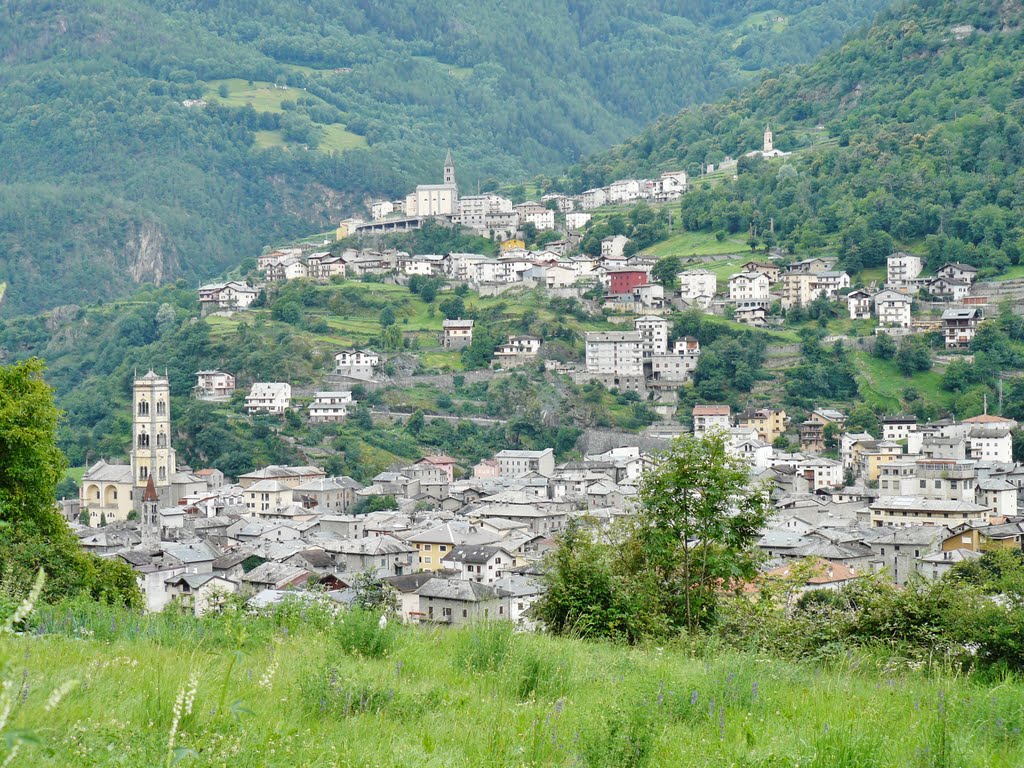 Genoeg bekijks tijdens de afdaling van de Mortirolo (Foto: Panoramio)