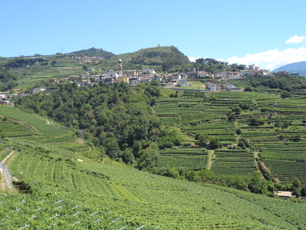 Overal staan wijnranken (Foto: Panoramio)