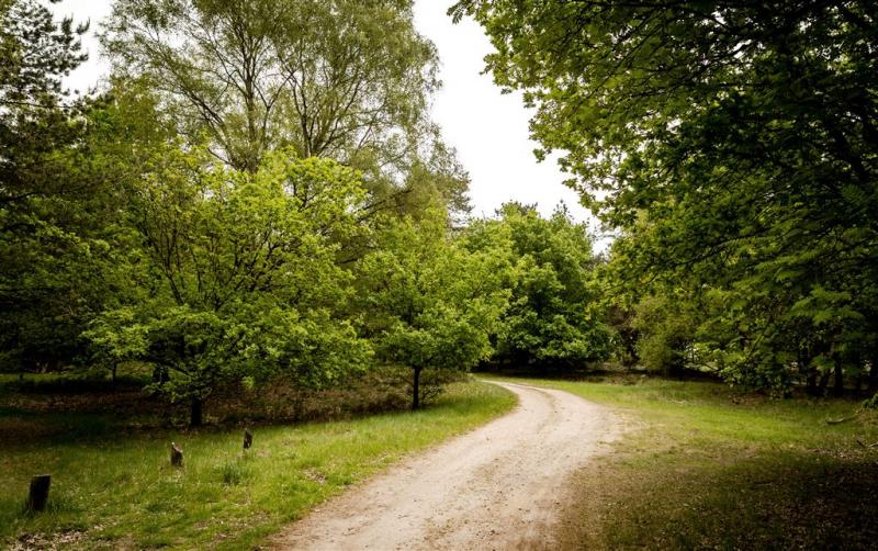 Uitspraak in langslepende zaak Posbankmoord