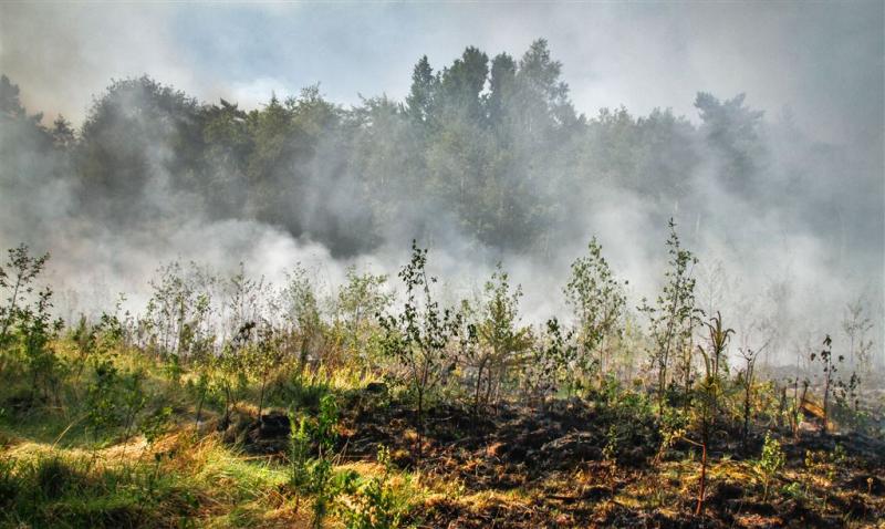 Drie provincies code oranje voor natuurbrand