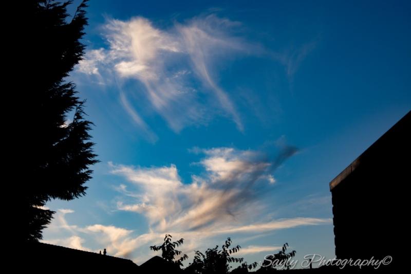 Wolken boven de tuin van Luuntje (Foto: Luuntje)
