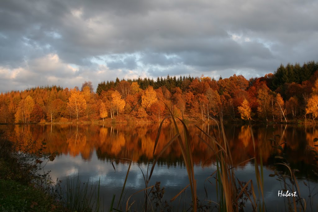 Eén van de duizend plassen water hier (Foto: Panoramio)