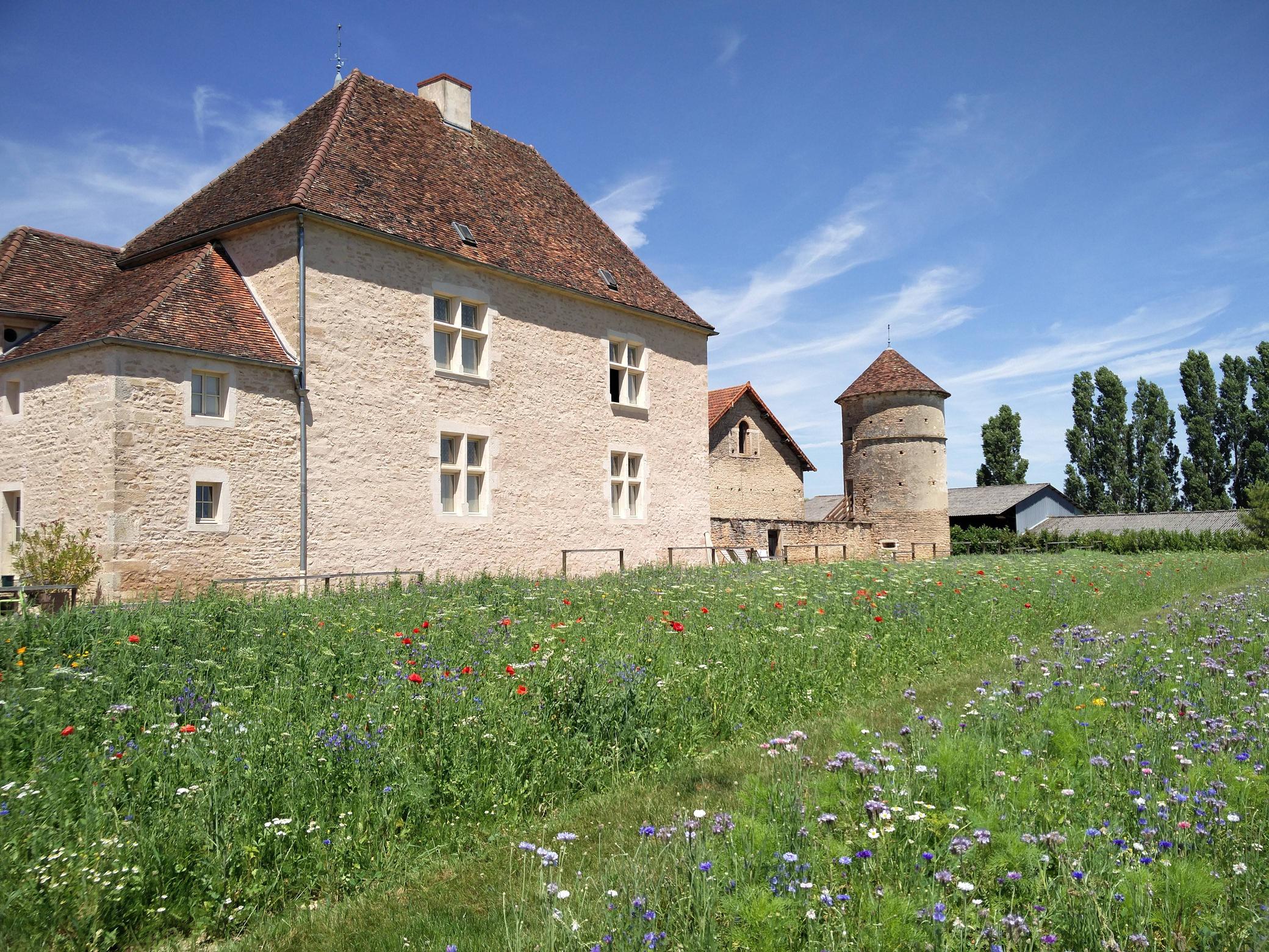 Het chateau van Moux (Foto: Imgur)