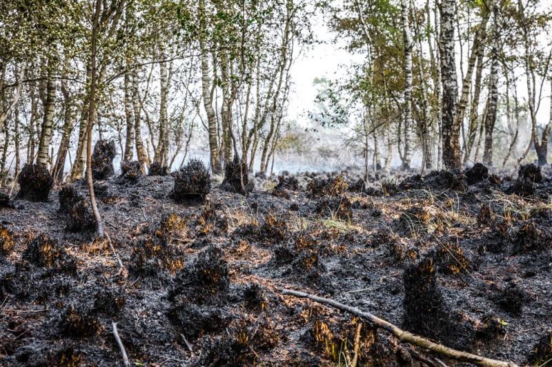 Natuurbrand geblust, 60 hectare verwoest