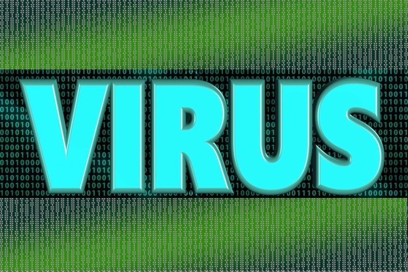 w.e.r.k. virus