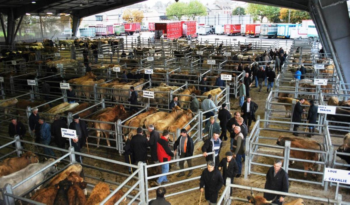 De veemarkt in Laissac (Foto: Panoramio)