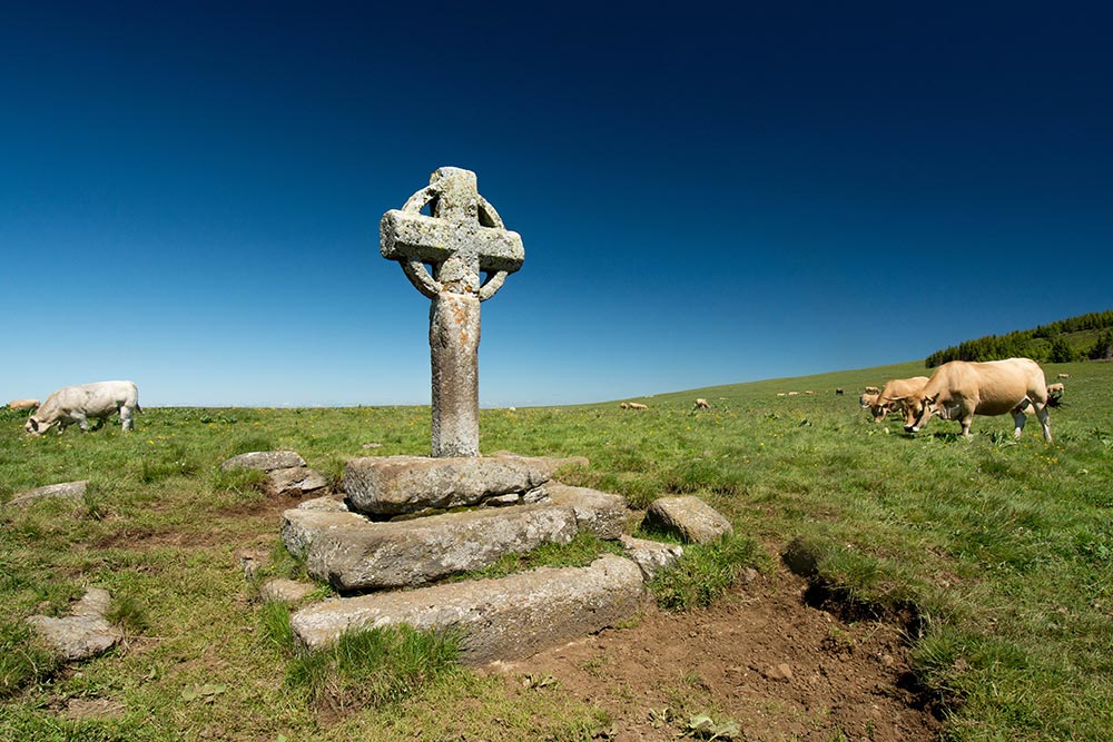 Het kruis waar de runderen vaak naar kijken (Foto: Panoramio)