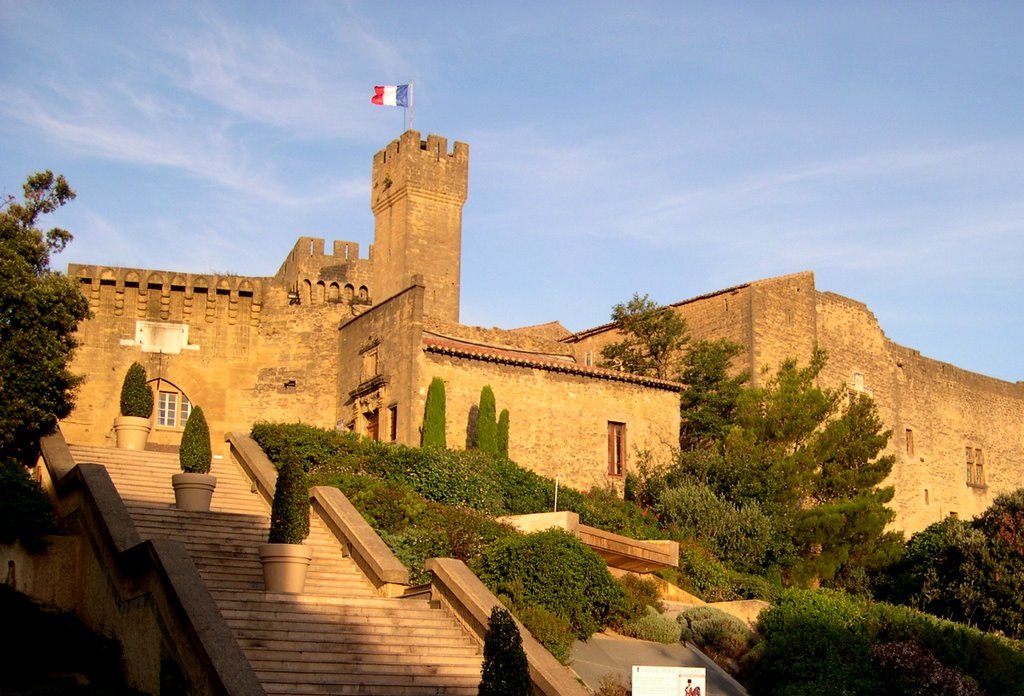Salon-de-Provence biedt genoeg moois voor de geïnteresseerde toerist (Foto: Panoramio)