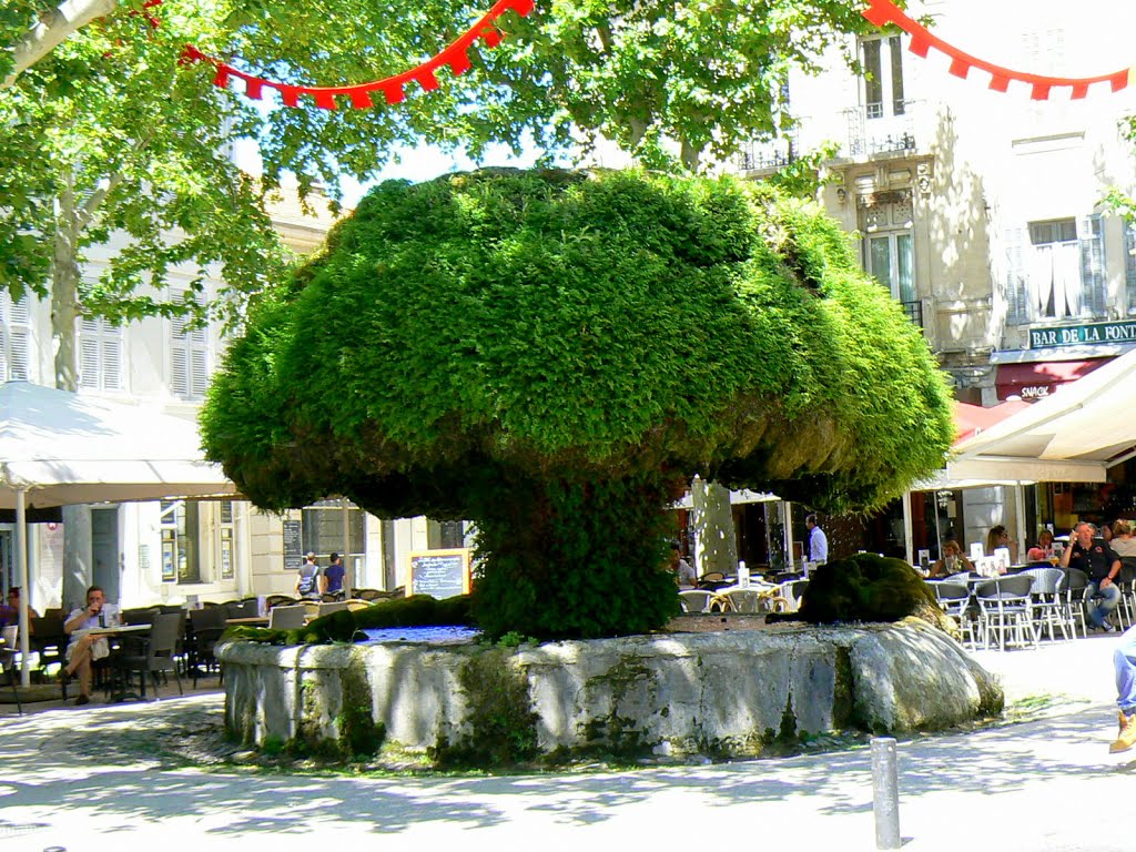 Een boomfontein in de vorm van een champignon, heel apart (Foto: Panoramio)