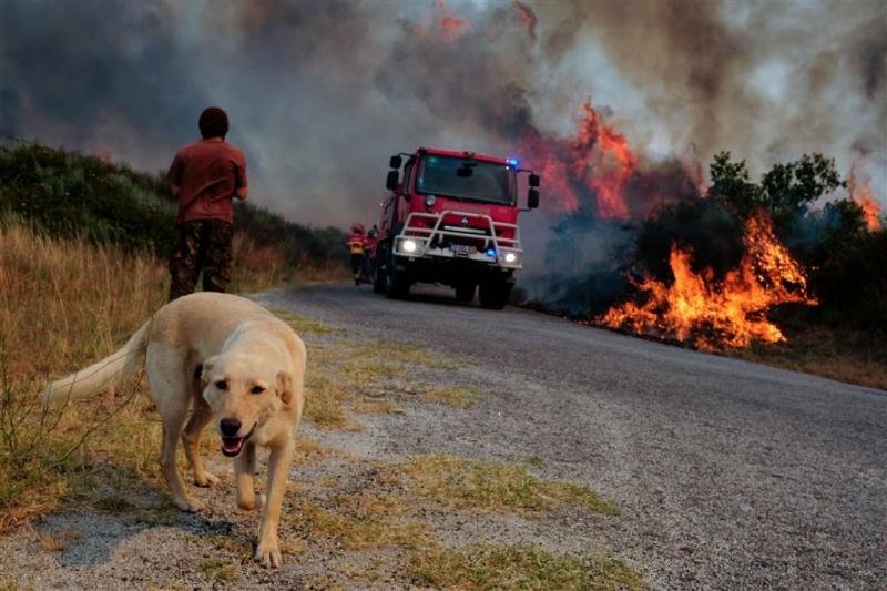 Nieuwe bosbranden in Portugal