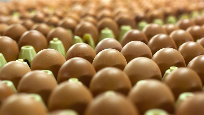 NVWA waarschuwt voor besmette eieren 