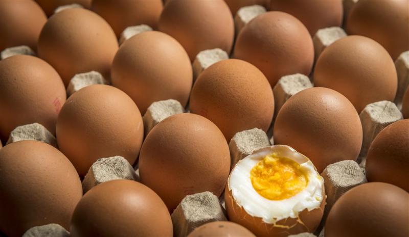 Oppositie België wil spoedberaad over eieren