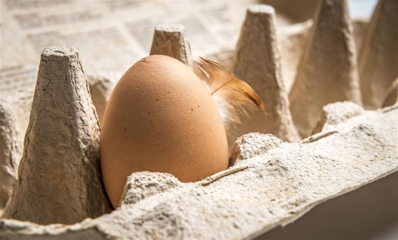 Honderdduizenden fipronil-eieren in GB