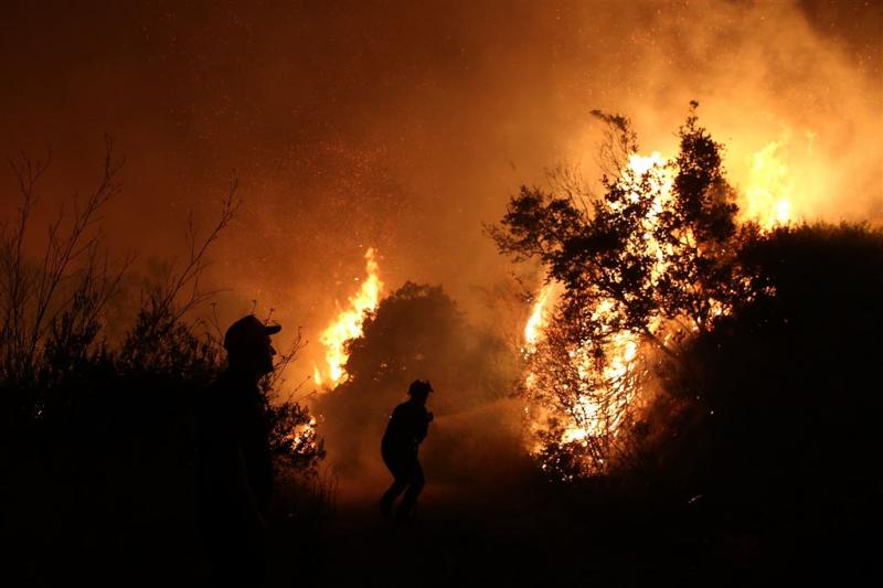 Duizenden Grieken op de vlucht voor bosbrand