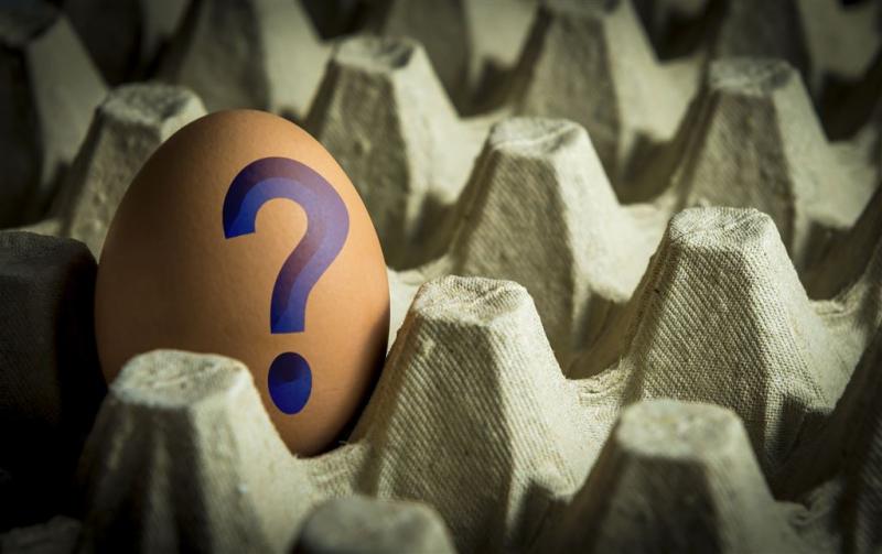 Ruim 28 miljoen besmette eieren in Duitsland